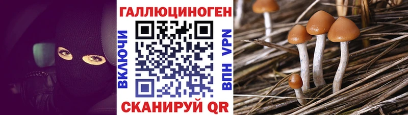 Галлюциногенные грибы MAGIC MUSHROOMS  kraken сайт  Волгодонск 